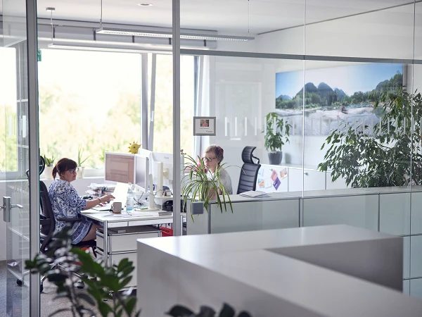 Zwei Personen arbeiten in einem modernen, hellen Büro mit großen Fenstern, umgeben von Pflanzen und einem großflächigen Wandbild einer Landschaft.